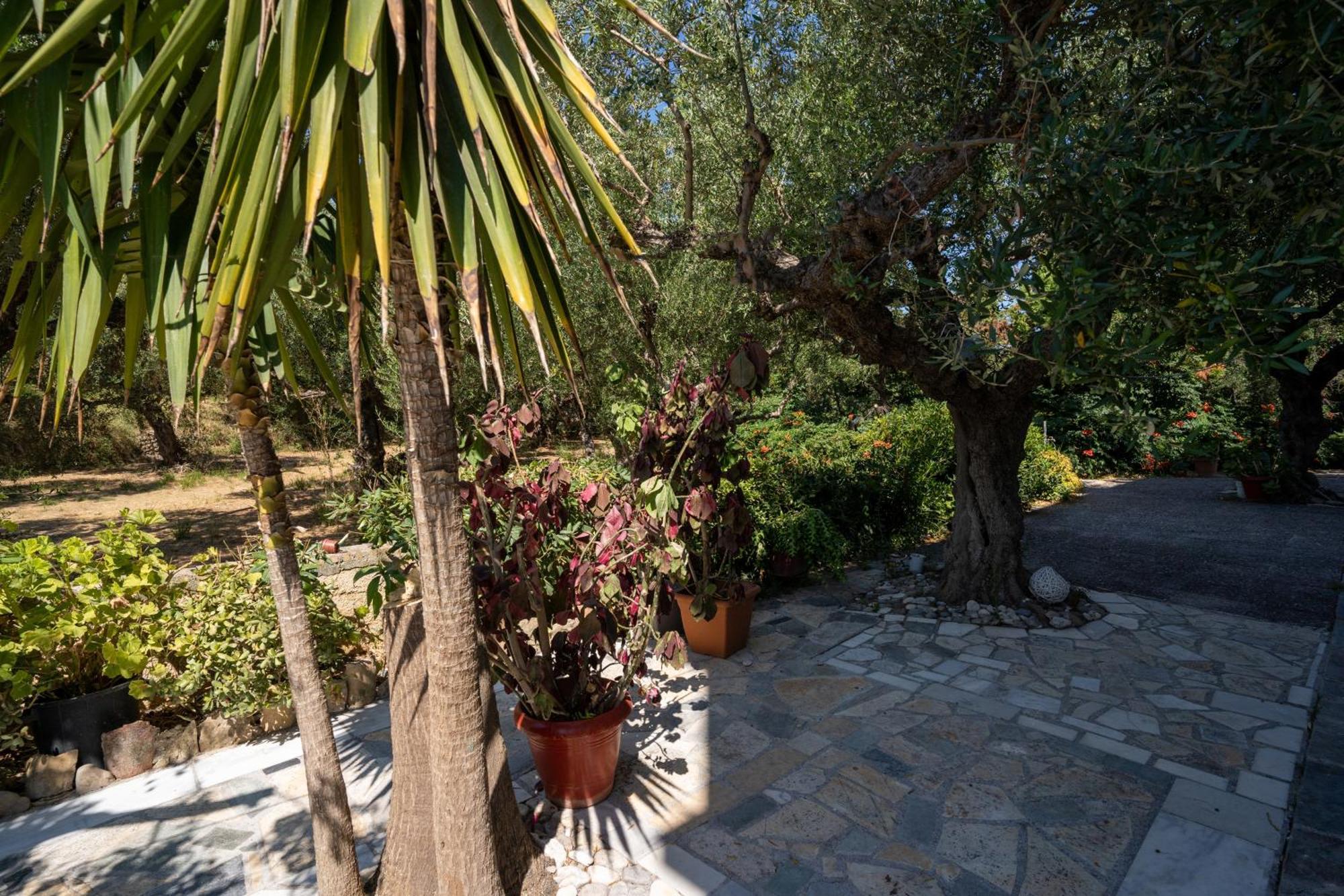 SkyBlue Horizon Studio 2 Tsilivi  Exterior foto